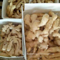 Top Quality of Fresh Air Dry Ginger for Europ